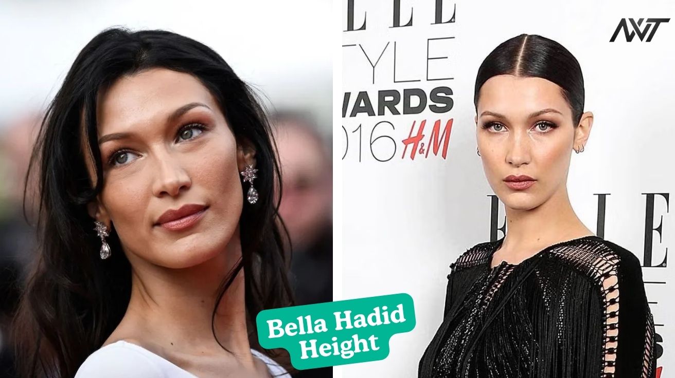 Bella Hadid’s Height, Lifestyle, and the Making of a Supermodel