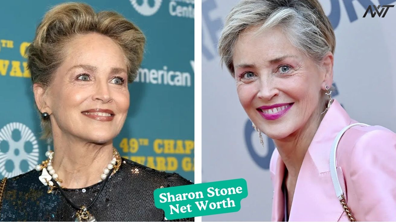 What Is Sharon Stone's Net Worth