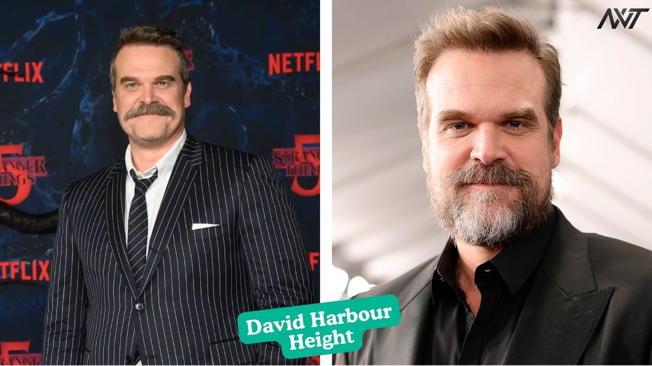 David Harbour Height Everything to Know About His Profile